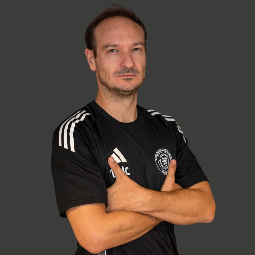 David Schmidt
